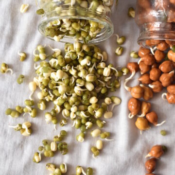 how to make sprouts? priyascurrynation.com