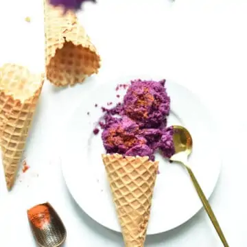 Indian Jamun sorbet recipe- easy 3 ingredients and summer must have. priyascurrynation.com
